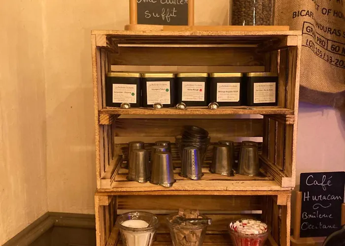 Logis Domaine De Peyrolade 4*